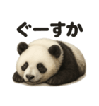 とにかく眠いリアルなパンダのライン（個別スタンプ：10）