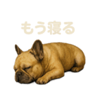 とにかく眠いフレンチブルドッグのスタンプ（個別スタンプ：4）