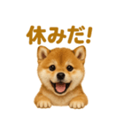 華金だ！サラリーマン芝犬のお疲れ様ご褒美（個別スタンプ：5）