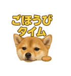 華金だ！サラリーマン芝犬のお疲れ様ご褒美（個別スタンプ：10）