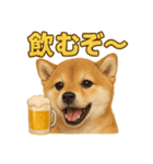 華金だ！サラリーマン芝犬のお疲れ様ご褒美（個別スタンプ：12）