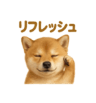 華金だ！サラリーマン芝犬のお疲れ様ご褒美（個別スタンプ：14）