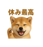華金だ！サラリーマン芝犬のお疲れ様ご褒美（個別スタンプ：15）