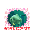 水族館の生き物達すたんぷ（個別スタンプ：3）