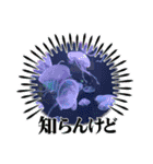 水族館の生き物達すたんぷ（個別スタンプ：9）
