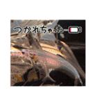 水族館の生き物達すたんぷ（個別スタンプ：14）