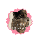 世界一のマルキ（個別スタンプ：3）