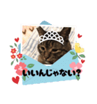 世界一のマルキ（個別スタンプ：5）