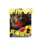 世界一のマルキ（個別スタンプ：6）