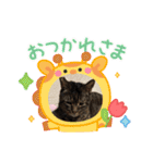 世界一のマルキ（個別スタンプ：7）