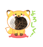 世界一のマルキ（個別スタンプ：9）