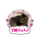 世界一のマルキ（個別スタンプ：10）