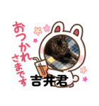 世界一のマルキ（個別スタンプ：12）