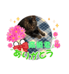 世界一のマルキ（個別スタンプ：13）