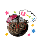 世界一のマルキ（個別スタンプ：14）