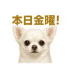 華金だ！週末お疲れ様ご褒美ラインスタンプ（個別スタンプ：2）