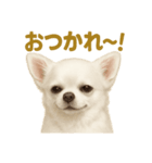 華金だ！週末お疲れ様ご褒美ラインスタンプ（個別スタンプ：4）