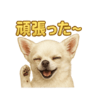 華金だ！週末お疲れ様ご褒美ラインスタンプ（個別スタンプ：8）