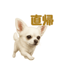 華金だ！週末お疲れ様ご褒美ラインスタンプ（個別スタンプ：9）