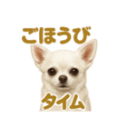 華金だ！週末お疲れ様ご褒美ラインスタンプ（個別スタンプ：10）