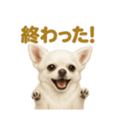 華金だ！週末お疲れ様ご褒美ラインスタンプ（個別スタンプ：11）