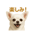 華金だ！週末お疲れ様ご褒美ラインスタンプ（個別スタンプ：13）