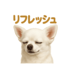 華金だ！週末お疲れ様ご褒美ラインスタンプ（個別スタンプ：14）