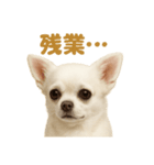 華金だ！週末お疲れ様ご褒美ラインスタンプ（個別スタンプ：16）