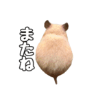 らてたんすたんぷ（個別スタンプ：9）