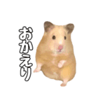らてたんすたんぷ（個別スタンプ：10）