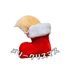らてたんすたんぷ（個別スタンプ：15）