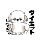 動くシーズー犬 2025 「ダイエット」17（個別スタンプ：1）