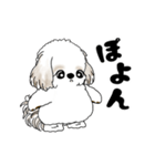 動くシーズー犬 2025 「ダイエット」17（個別スタンプ：4）