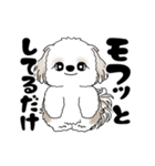 動くシーズー犬 2025 「ダイエット」17（個別スタンプ：5）