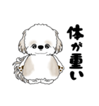 動くシーズー犬 2025 「ダイエット」17（個別スタンプ：7）