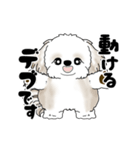 動くシーズー犬 2025 「ダイエット」17（個別スタンプ：9）