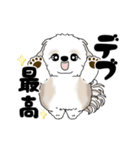 動くシーズー犬 2025 「ダイエット」17（個別スタンプ：10）