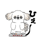 動くシーズー犬 2025 「ダイエット」17（個別スタンプ：12）