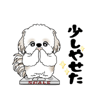 動くシーズー犬 2025 「ダイエット」17（個別スタンプ：15）