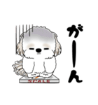 動くシーズー犬 2025 「ダイエット」17（個別スタンプ：16）