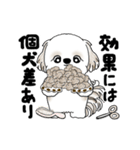 動くシーズー犬 2025 「ダイエット」17（個別スタンプ：17）