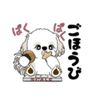 動くシーズー犬 2025 「ダイエット」17（個別スタンプ：18）