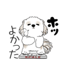 動くシーズー犬 2025 「ダイエット」17（個別スタンプ：19）