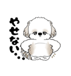 動くシーズー犬 2025 「ダイエット」17（個別スタンプ：20）