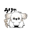 動くシーズー犬 2025 「ダイエット」17（個別スタンプ：21）