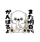 動くシーズー犬 2025 「ダイエット」17（個別スタンプ：24）