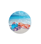 【南国の綺麗な海】癒し.Healing.Sea,shell（個別スタンプ：9）