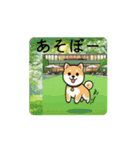 蜂さんが来ました *move（個別スタンプ：7）