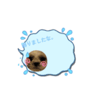 シーズー子犬が動く！♪（個別スタンプ：4）
