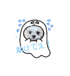 シーズー子犬が動く！♪（個別スタンプ：9）